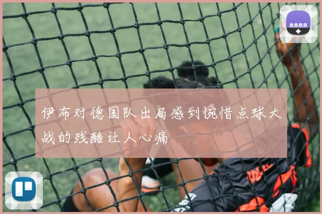伊布对德国队出局感到惋惜点球大战的残酷让人心痛